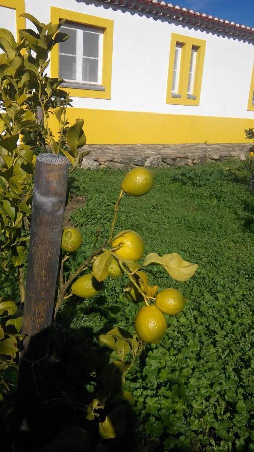Casa das Amoras Santo António das Areias Exterior foto
